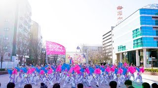 [4K]ホリデイスポーツクラブ　浜松がんこ祭り2018 1日目 東街区ロータリー会場