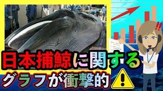 【 海外の反応】日本の捕鯨に関するグラフに世界が衝撃!!ノルウェーの捕鯨の疑問「なんで日本ばかり責めるの!!」お隣は日本の４倍で世界1位の捕鯨大国なのです...【Twitterの反応】