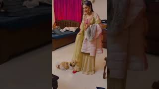Baani Sandhu Funny Video With Dog • Show te Vi naal Leh k Jana Me Te Zoya Nu