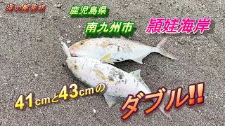 サーフジギングin頴娃海岸【2021年9月11日】