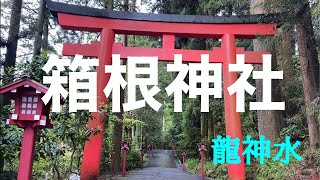 雨の【箱根神社】九頭龍神社⛩️      龍神水　白無垢の花嫁さんに会いました