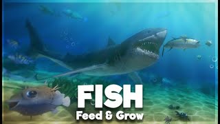 Feed and Grow: Fish GAMEPLAY Hard Mode