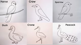 how to draw different types of bird's drawing easy step by step@Kids Drawing Talent