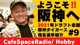 ＃9【ようこそ阪神へ‼️】生粋の阪神ファンが紹介する2021年阪神タイガースドラフト指名された選手たち