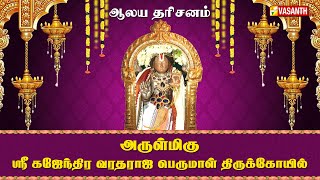 அருள்மிகு ஸ்ரீ கஜேந்திர வரதராஜ பெருமாள் திருக்கோயில் | Aalaya Dharisanam | Vasanth TV