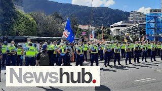 Winston Peters' Wellington protest visit following tense scenes | Newshub