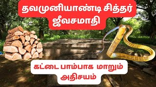 பாம்பாக மாறும் விரகு கட்டைகள் ! | தவ முனியாண்டி சித்தரின் ஜீவசமாதி | Mystery Screen