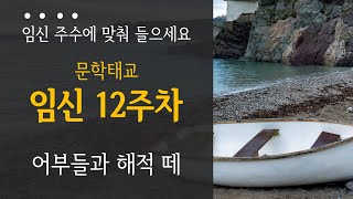 [임신주수별 태교동화] 임신12주차 - 어부들과 해적 떼