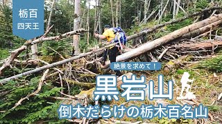 栃木百名山の4強である黒岩山へ。女夫渕から鬼怒沼湿原を超えその先には無数の倒木が！総距離33キロ、12時間の山旅動画