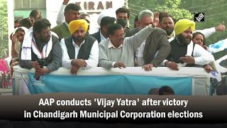 AAP conducts 'Vijay Yatra' after victory in Chandigarh Municipal Corporation elections