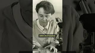 Jumping Genes: Barbara McClintock’s Breakthrough in Genetics#biology