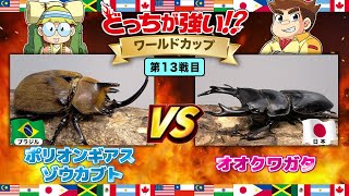 【どっちが強い!?ワールドカップ編 】第13戦目　ポリオンギアスゾウカブトVSオオクワガタ