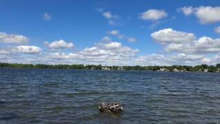 20220725 A windy day at Lake Wilcox (Ontario)