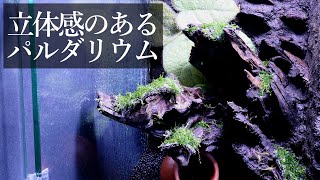 立体感のあるパルダリウム立ち上げを目指してレイアウトの練習をする。Making Paldrium