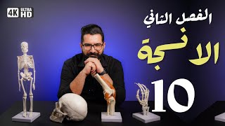 أحياء السادس العلمي |منهج 2025 | الفصل الثاني / الانسجة الحيوانية  10 | الغضروف و العظم