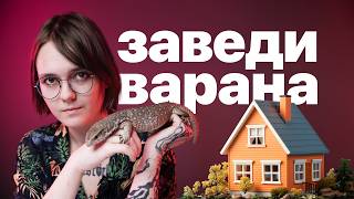 ВАРАНЫ САМЫЕ УМНЫЕ ЯЩЕРИЦЫ? КАКОГО ЗАВЕСТИ ДОМА?