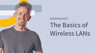 The Basics of Wireless LANs