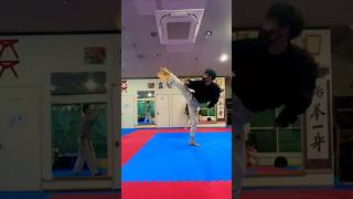 後ろ回し蹴りチャレンジ Part 2‼️#wheelkickchallenge #spinninghookkick #taekwondo #テコンドー #後ろ回し蹴りチャレンジ #태권도 #챌린지