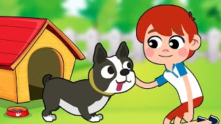 Bingo Dog Song \u0026 Kids Songs \u0026 Nursery Rhymes