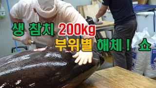 참치 해체 부위별 200kg 생참치 raw tuna by tuna disassembly