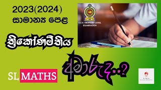 SL Maths |2023(2024) OL Mathematics Paper Discussion|ත්‍රිකෝණමිතිය| Thrikonamithiya |Trigonometry