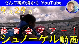 【石垣島の海】台風のうねり！体育会ツアー9月29日シュノーケリングツアーの動画