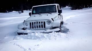 Toyota Tundra and Jeep Rubicon in 22" of snow