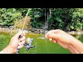 4 Hours of RAW and UNCUT Ultralight Fishing with Gulp Minnows | Chilhowee Lake