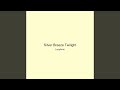 Silver Breeze Twilight