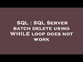 SQL : SQL Server batch delete using WHILE loop does not work