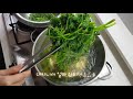 참나물 봄에 꼭 먹어야 하는 음식 보물농장 3 chamnamul pimpinella brachycarpa korean food