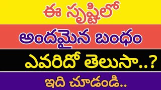 ఈ సృష్టిలో అందమైన బంధం ఎవరిదో తెలుసా.?|motivational stories|Telugu life facts|NS Narsi Vlogs