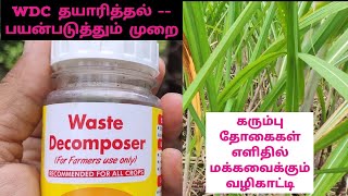 Waste Decomposer Preparation - Tamil | Sugarcane cultivation - Natural Manure #wastedecomposer #wdc