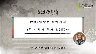 제548강 17년3월상순 용맹정진 1부 이것이 진짜 도(道)다 - 노천교육원