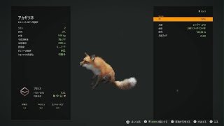 【theHunter: Call of the Wild(PS5)】#4「ヒルシュフェルデン保護区」アカギツネ狩猟 攻略プレイ