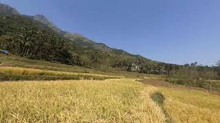 Kumki shooting spot area