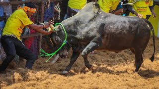 திண்டுக்கல் Rs துருவன் வேறலெவல் விளையாட்டு செம்மையா ஆட்டம் காட்டுரான்