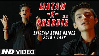 Zaigham Abbas Haider | Matam e Shabbir (a.s) | 2016 / 1438