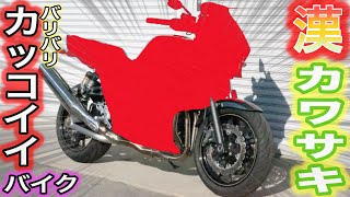 【バイク試乗】漢カワサキ！ネイキッド乗ってみた