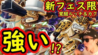 [トレクル]新フェス限ルッチ＆カク性能判明! 海賊祭は絶大な火力性能!? 強い!!????[OPTC]