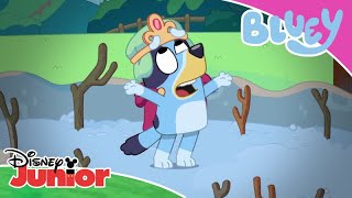 Η Περιπέτεια | Μπλούι | Disney Junior Ελλάδα