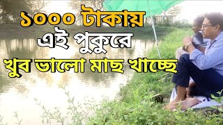 ১০০০ টাকার এই পুকুরে খুব ভালোই মাছ খাচ্ছে 😲|| Fishing Video ✅| New Pass Pukur ✅| Village Fishing