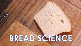 The Science of Bread (Part 5) - Salt-Rising Bread Science