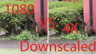 4k Downscaled vs 1080 Video Quality Comparison