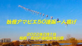 妖怪アマピエ50連凧一人揚げ