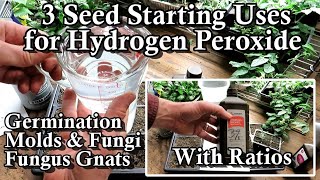 3 Uses of Hydrogen Peroxide for Starting Seeds Indoors: Fungus Gnats, Molds, Fungi, & Germination