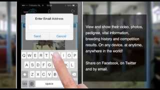 Horseboard App - Horseboard mobile