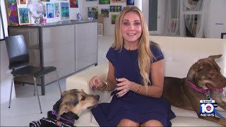 Fort Lauderdale animal shelter seeks homes for loving pets