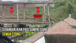 Mancing saguling Riung Gunung LENGKOB Lapak mang jali ||  mancing saguling 2024