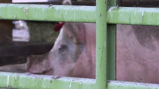 Department of Agriculture Director stops in Missoula on roadshow tour